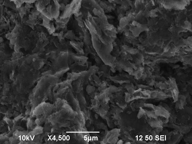 Graphite in the SEM with a magnetization of 4500