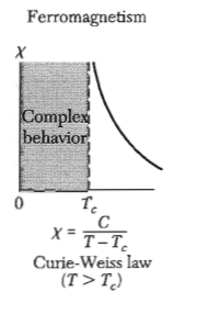 figures/Susceptibility_ferro.png